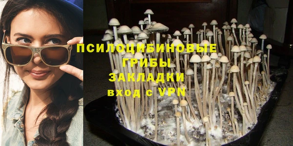 марки lsd Алзамай
