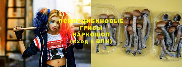 стафф Переславль-Залесский